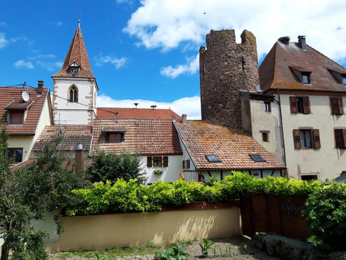 "La Vigne Dort" Cocon Romantique Herrlisheim-près-Colmar Kültér fotó