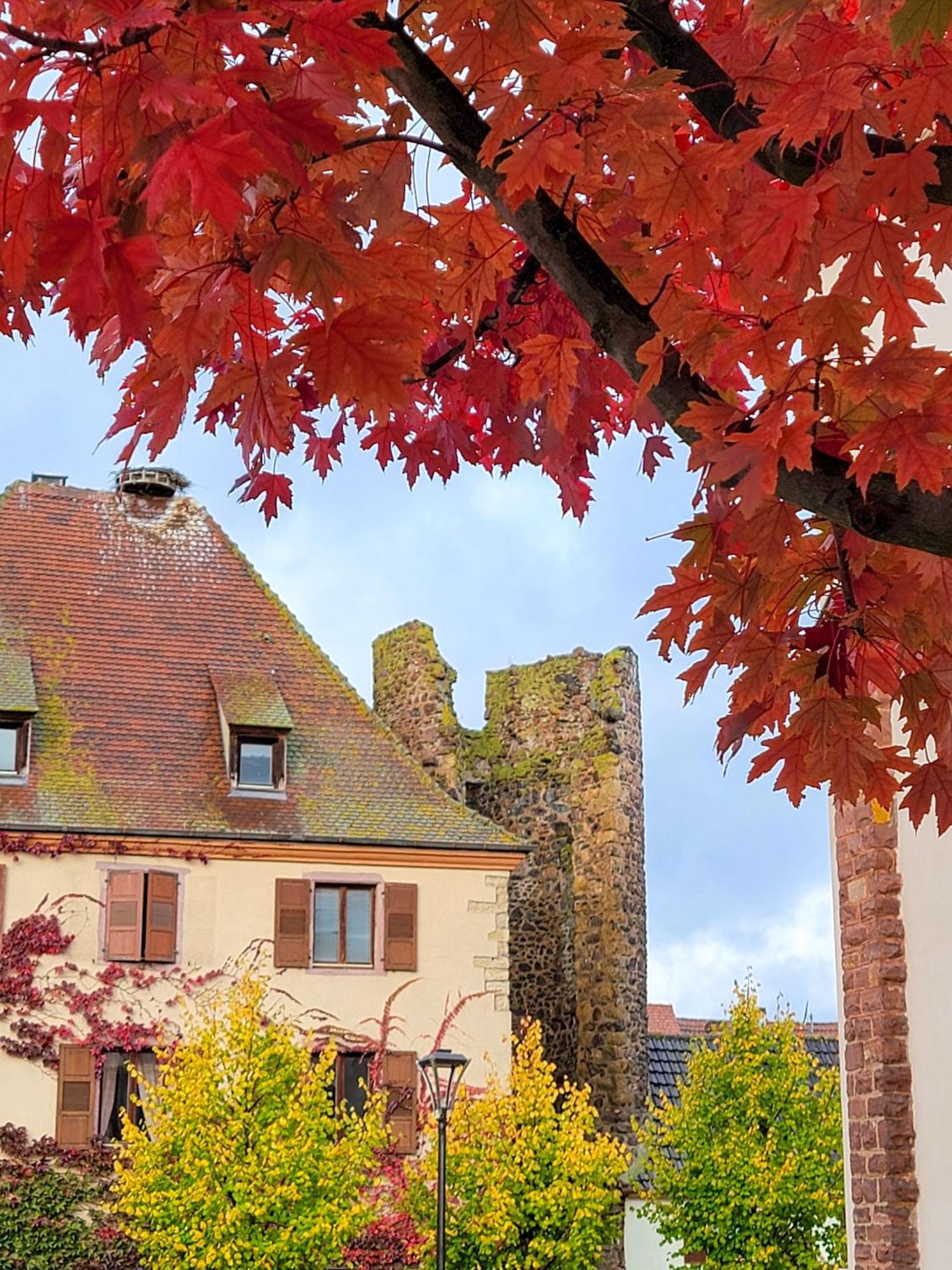 "La Vigne Dort" Cocon Romantique Herrlisheim-près-Colmar Kültér fotó